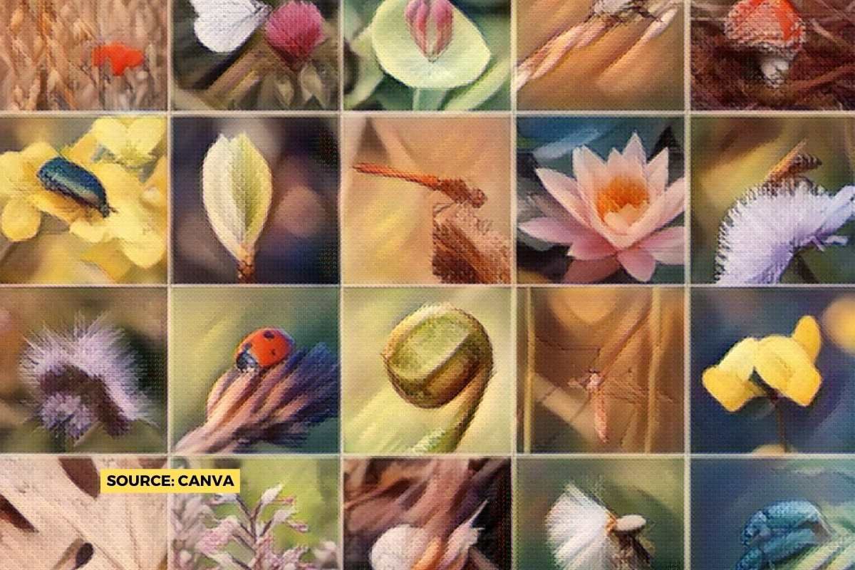 In-Situ and Ex-Situ Conservation, Explained!