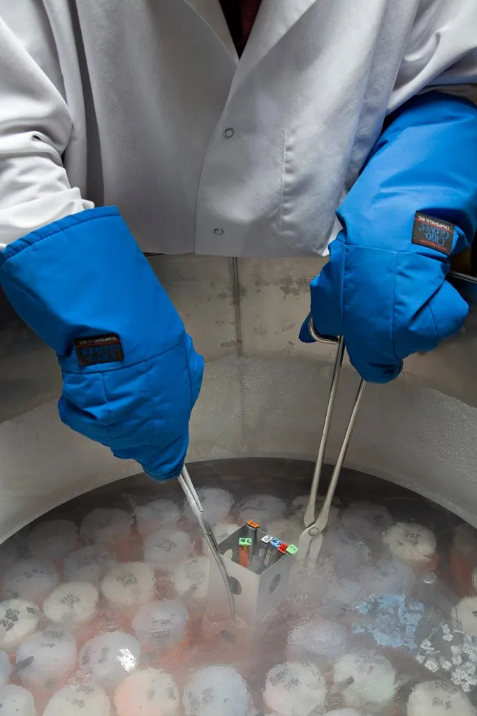 Plant cryopreservation