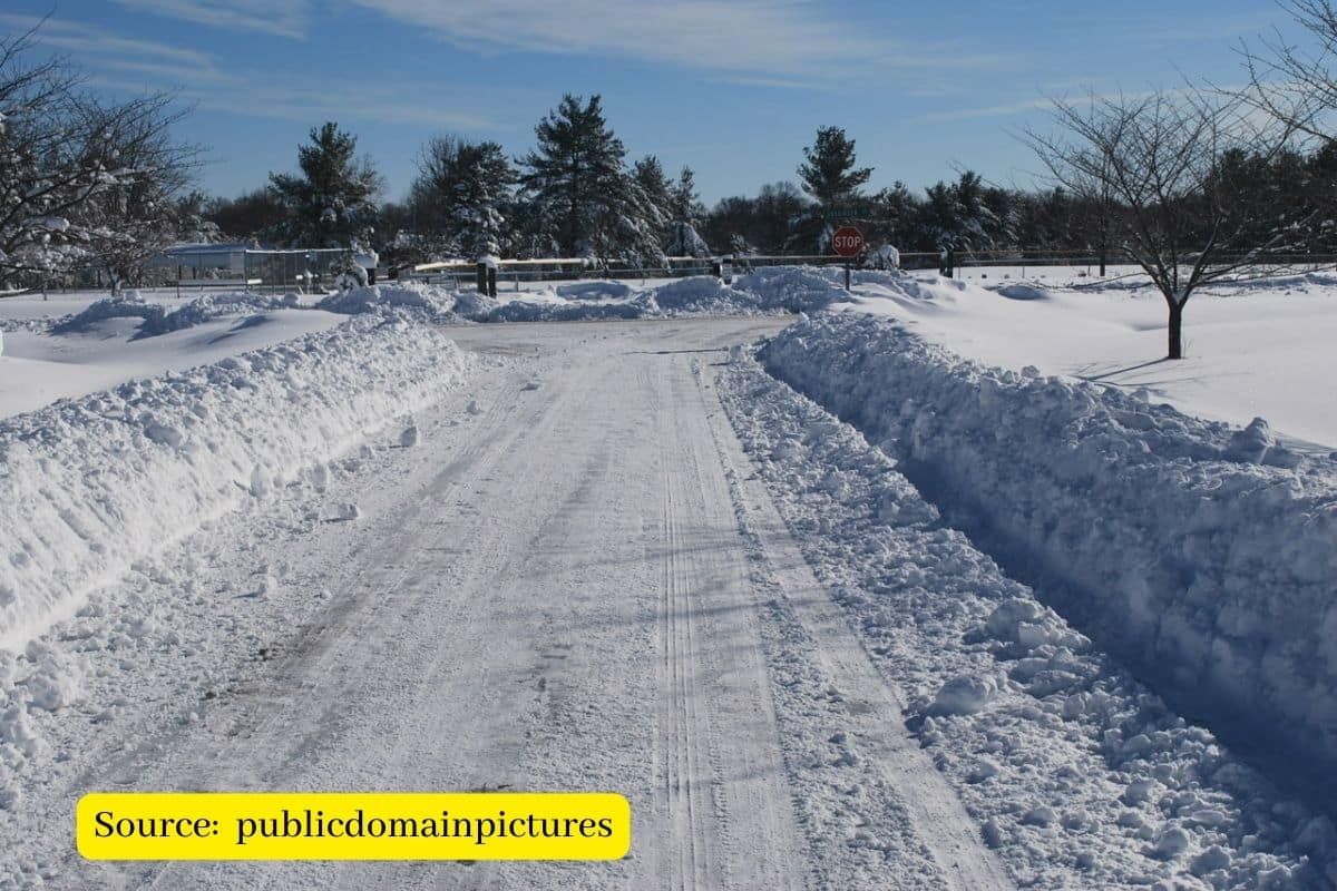 Road salt is bad for environment, so why do we keep using it?