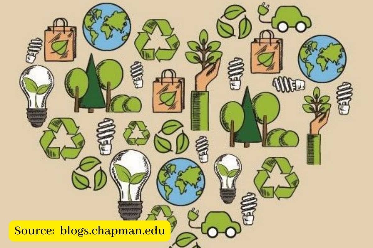 10 Eco-Friendly Resolutions for 2023