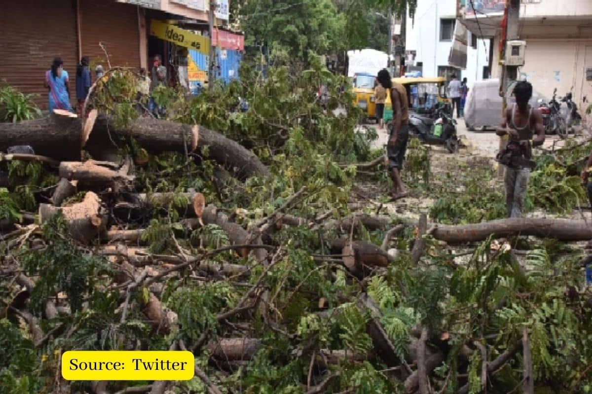 Why are people in Bengaluru against widening of Sankey Road?