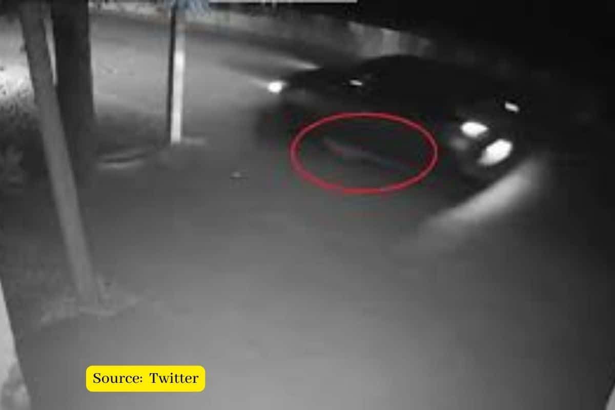 Delhi Kanjhawala case: What happened so far?