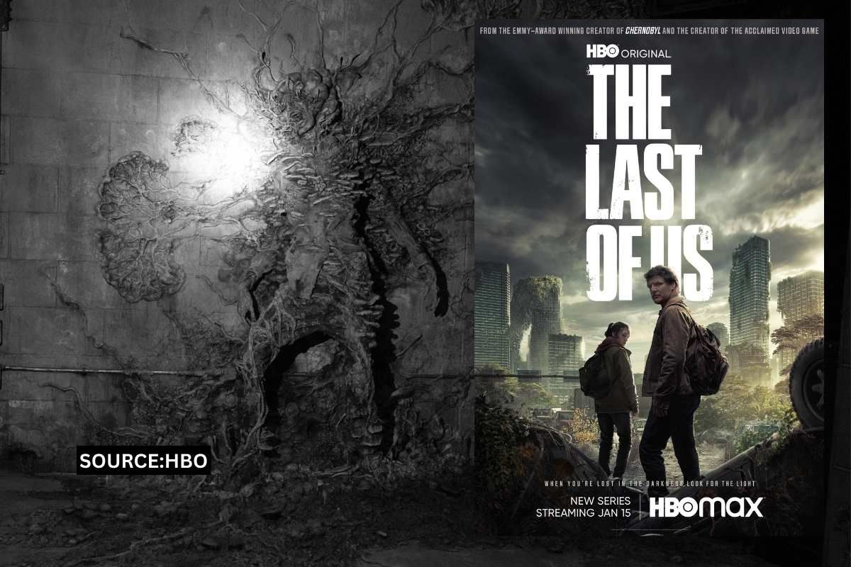 Is the HBO series 'The Last of Us' right about climate change-induced fungus?