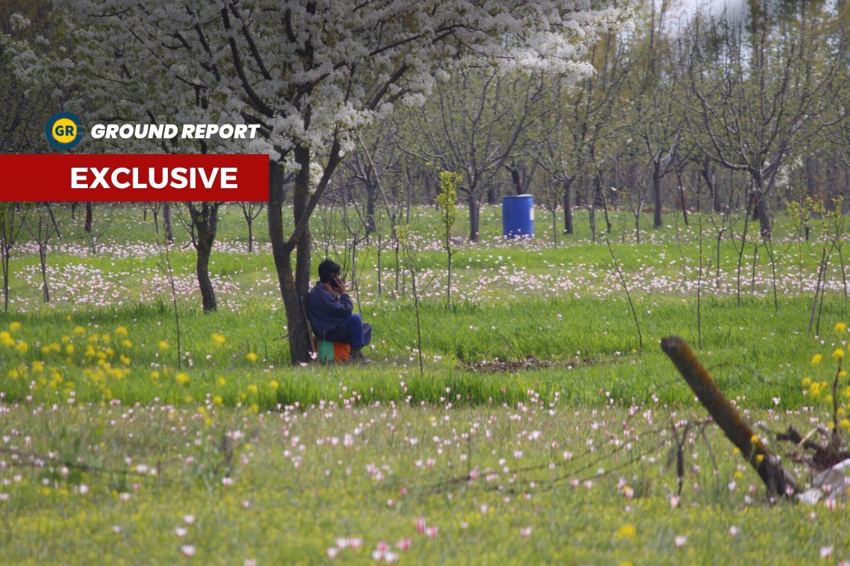 Kashmir's Karewa land is in danger