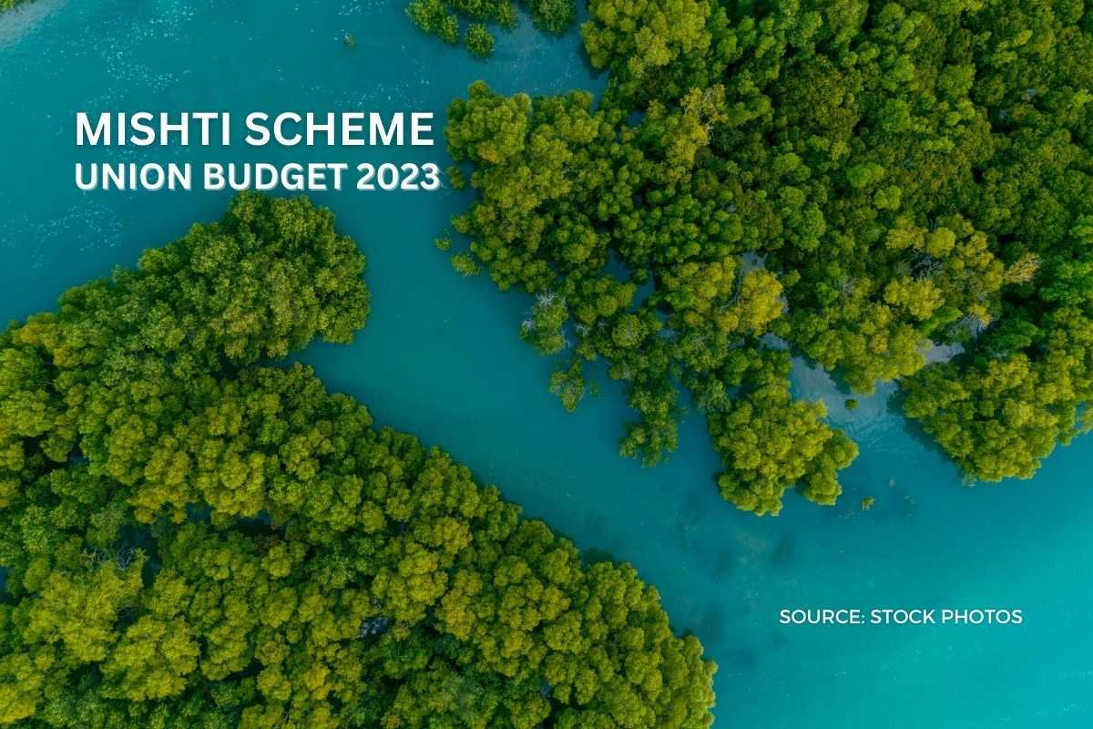 What is MISHTI, to save mangroves, and what do experts say?