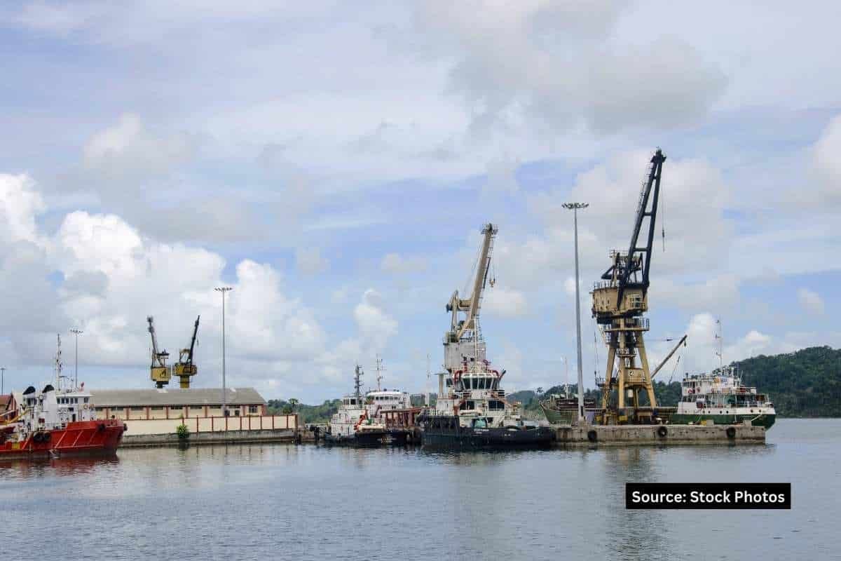 What is happening in the Nicobar Islands and why we need to stop it?