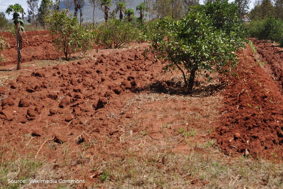 Climate smart agriculture practice in India and its examples