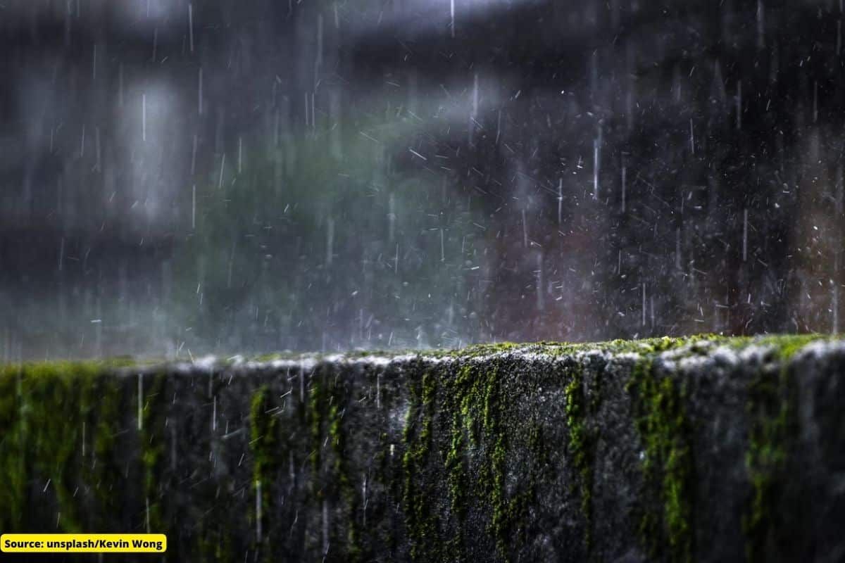 Relief from heatwave? Here's how the weather will be this week