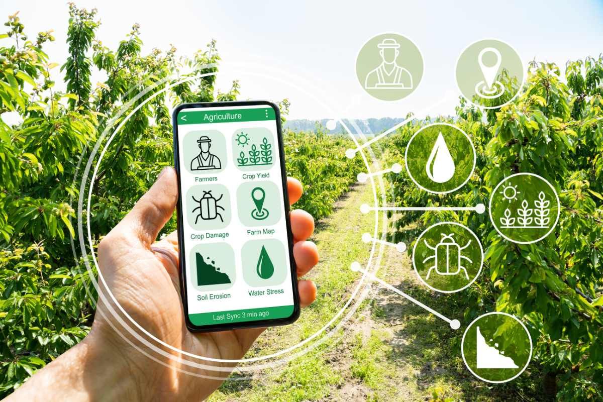 MP's climate-smart villages embrace natural farming, green revolution 2.0?