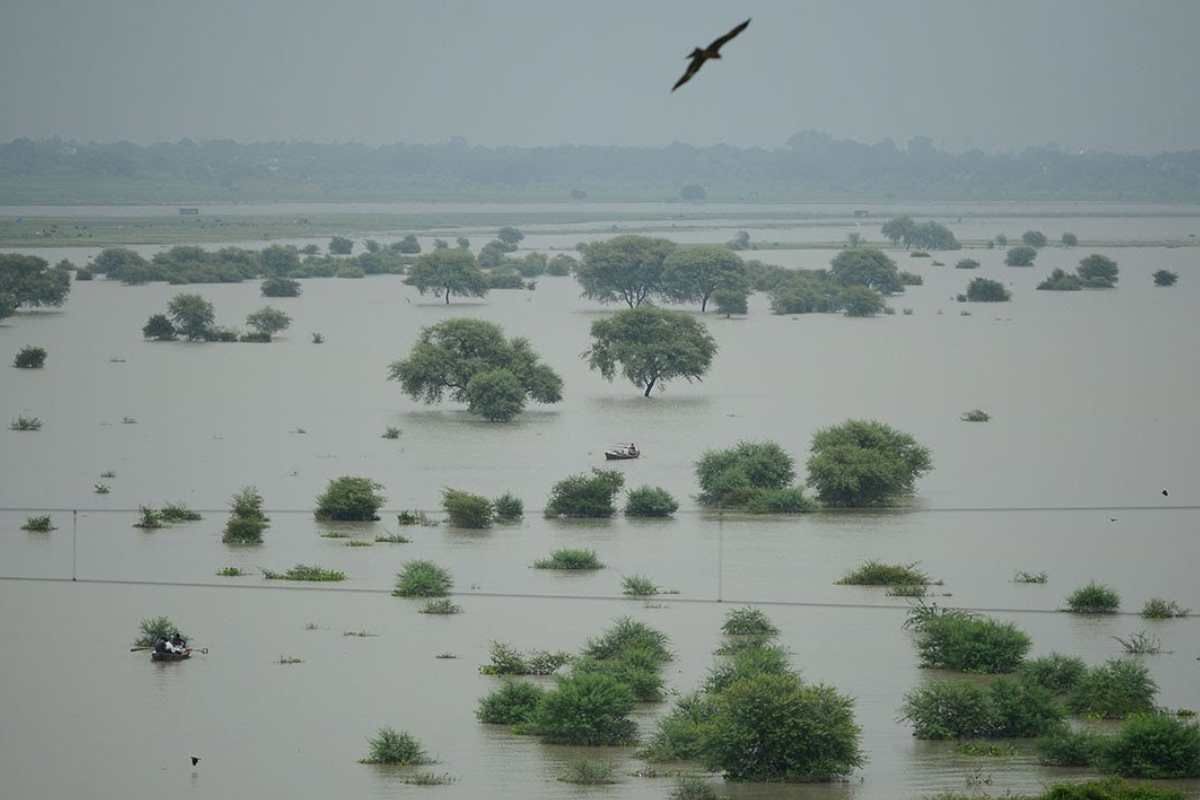 NGT orders to stop sewage and waste discharge into Ganga River in Ballia, Uttar Pradesh