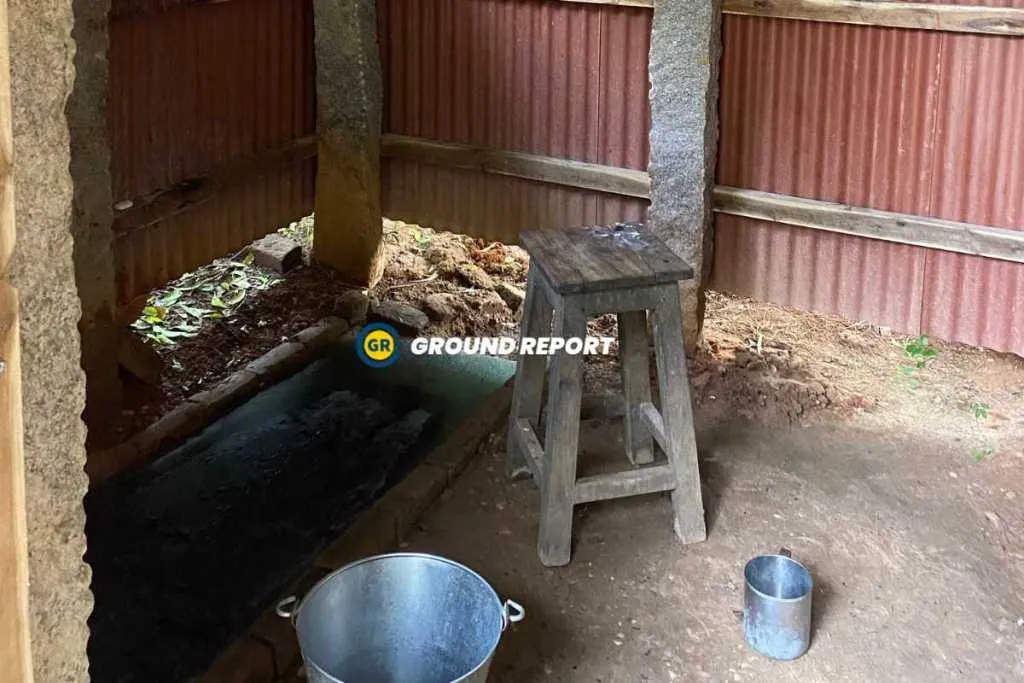 Water Conservation in Sadhana forest