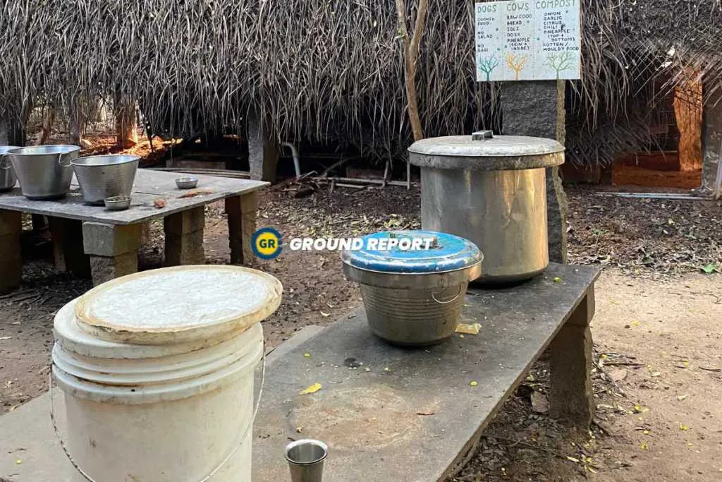 Veganism in Sadhana forest