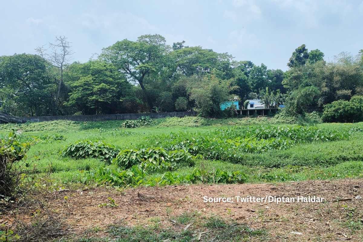 Death of Ichhamati River: a slow decline of a Bengal's cultural icon