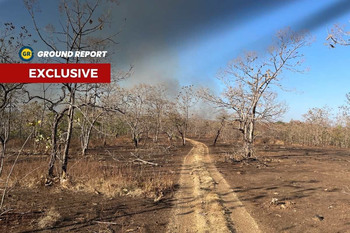 Kheoni Wildlife sanctuary seeks more resources for conservation