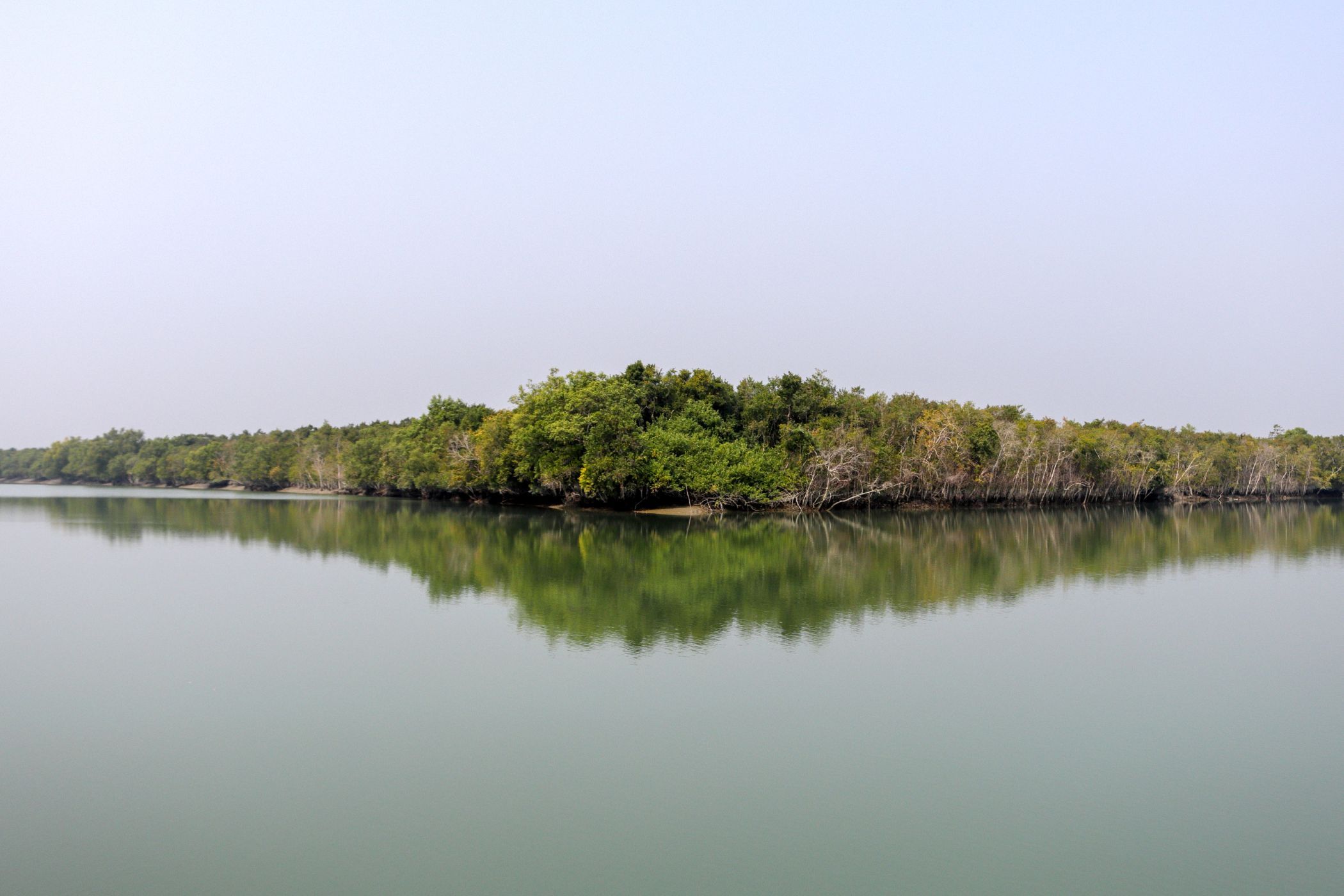 Sundarbans West Bengal