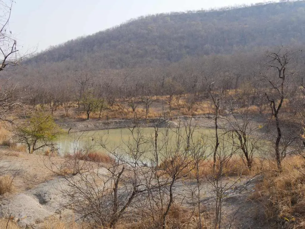 ken betwa link project