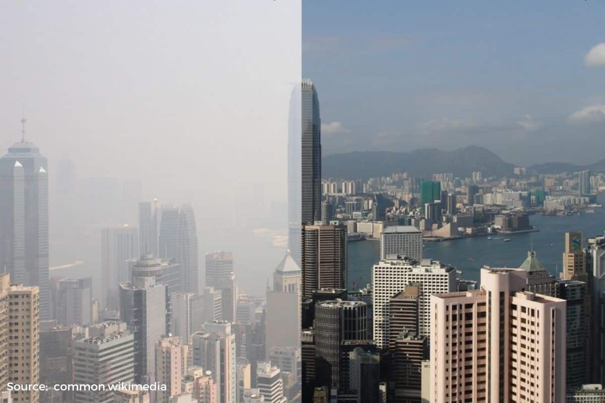 5 biggest environmental issues in Hong Kong in 2024