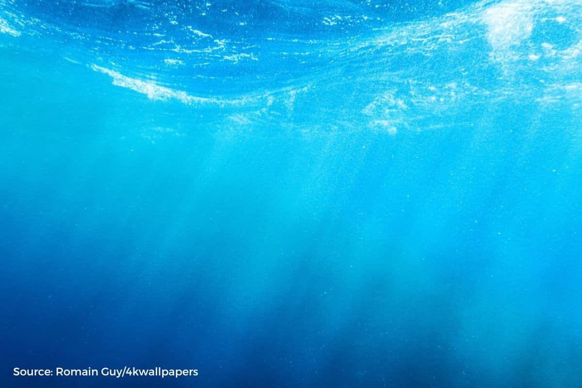 Climate change is modifying colour of ocean: it is becoming greener