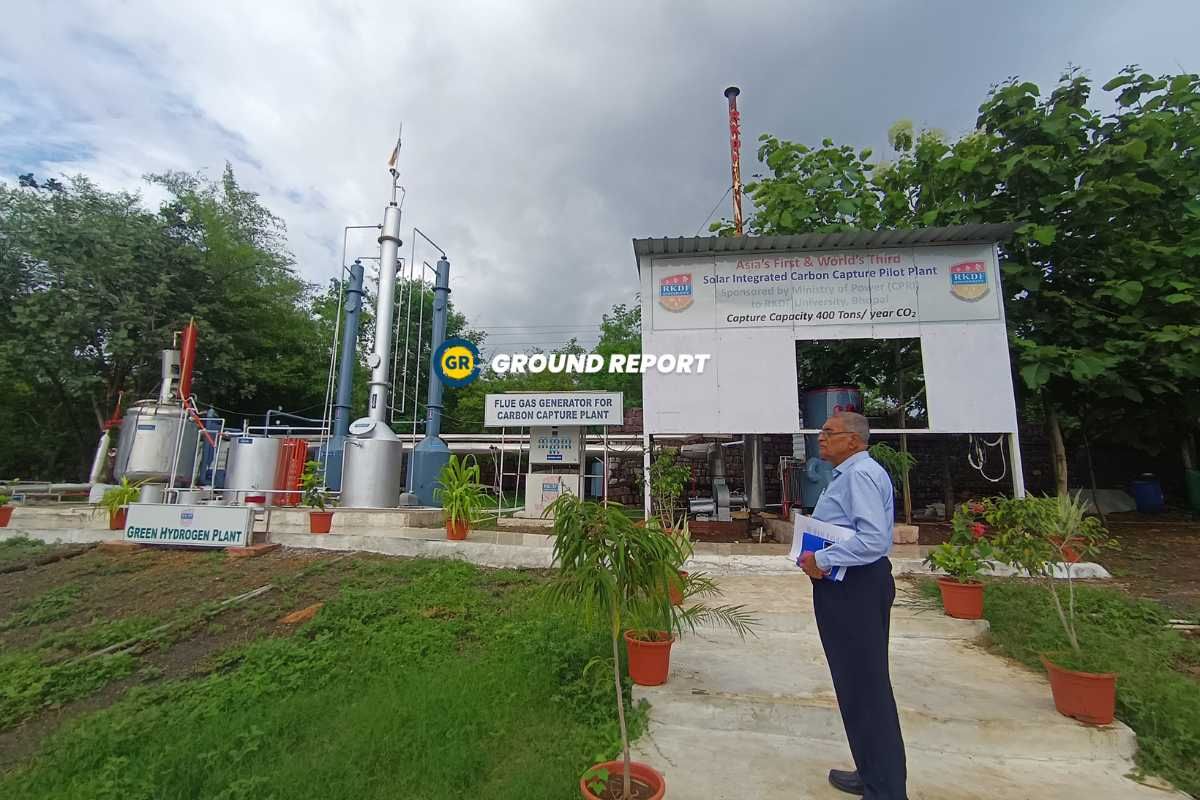 Plans to make biodiesel from carbon of Singrauli thermal power plant