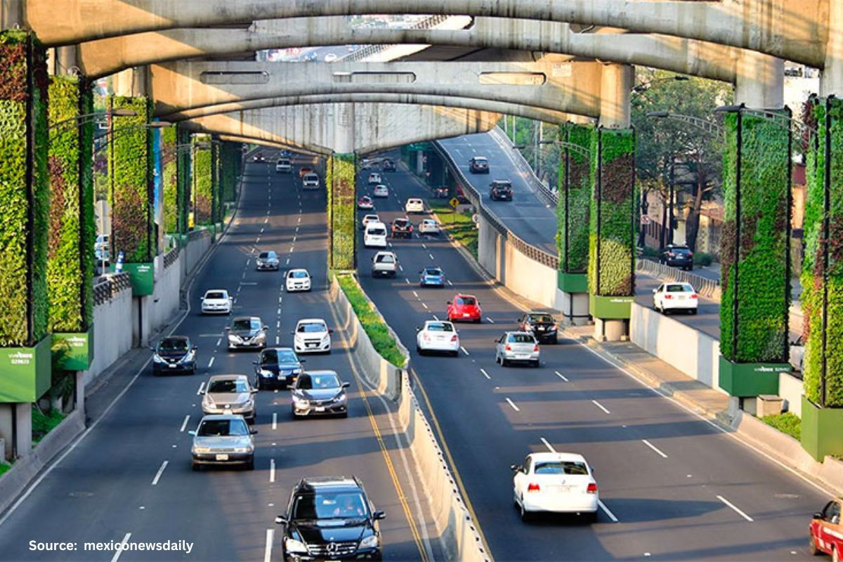 Mexico City's air pollution solution: Via Verde Vertical Gardens