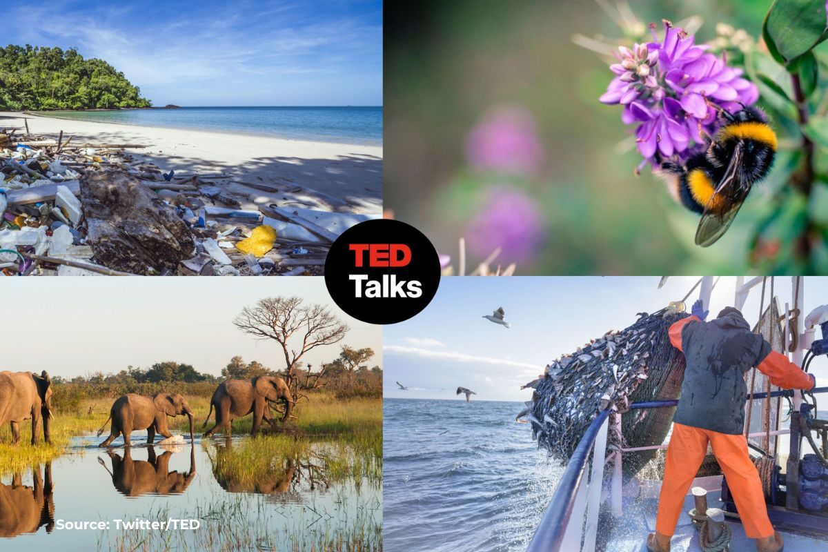 6 Best Ted Talks on climate change