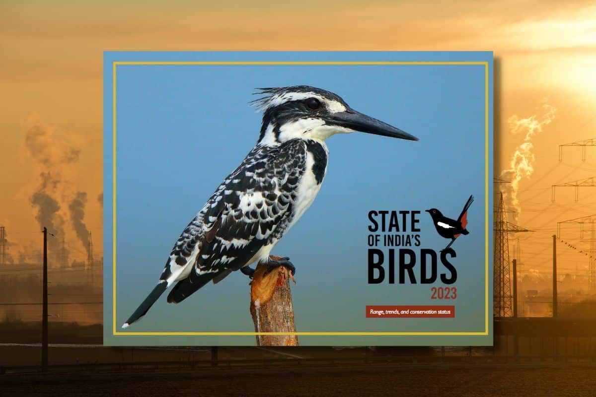 State of India's Birds 2023 report: What are the major threats to bird species in India?