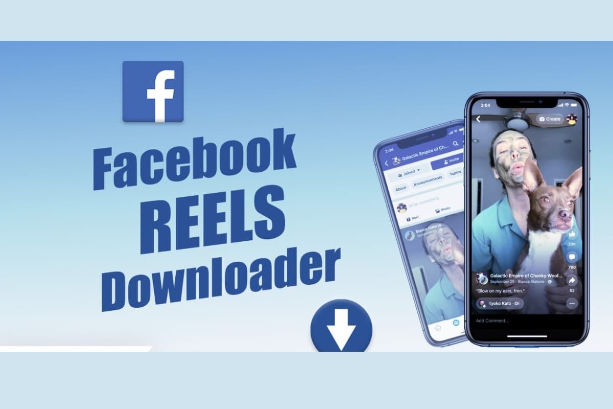 Facebook Reels Download with a link