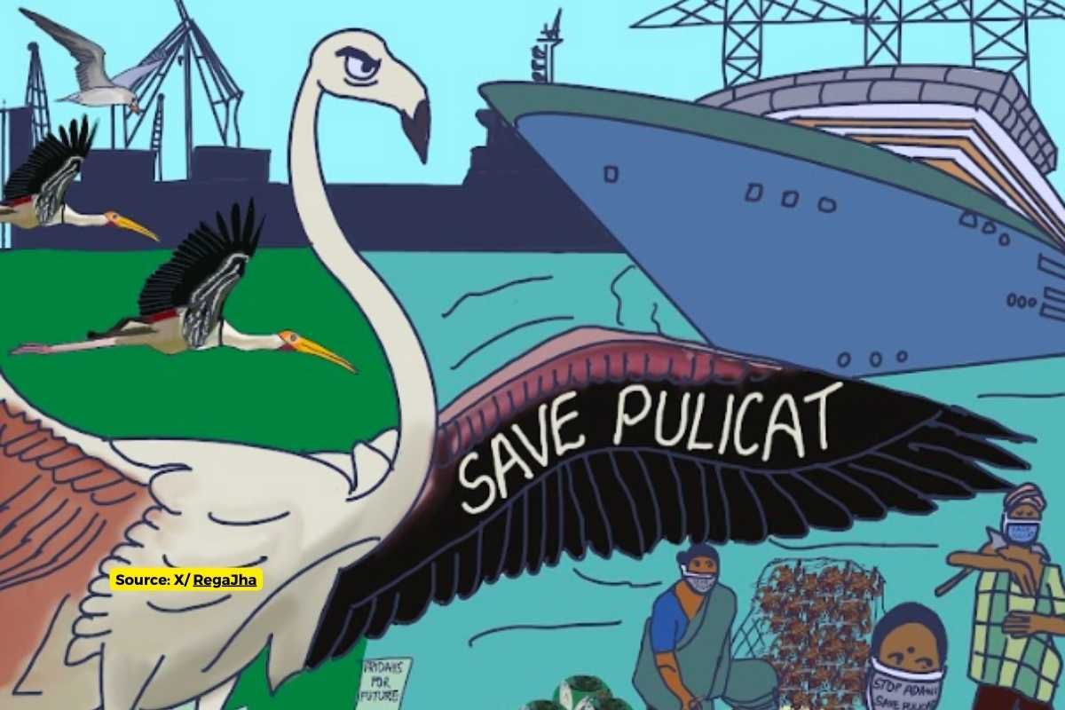 Climate activists opposing Adani Group's Kattupalli port project
