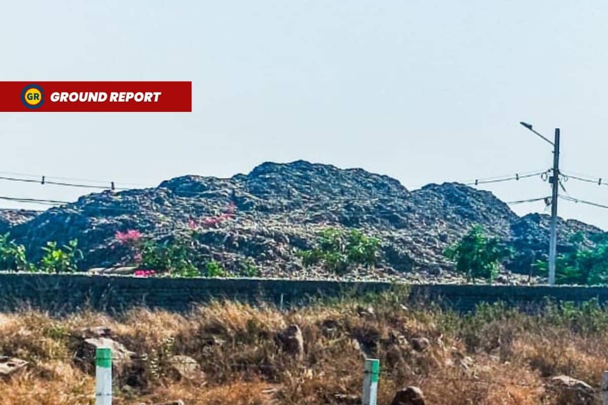 Bhopal Adampur landfill forces migratory birds to relocate