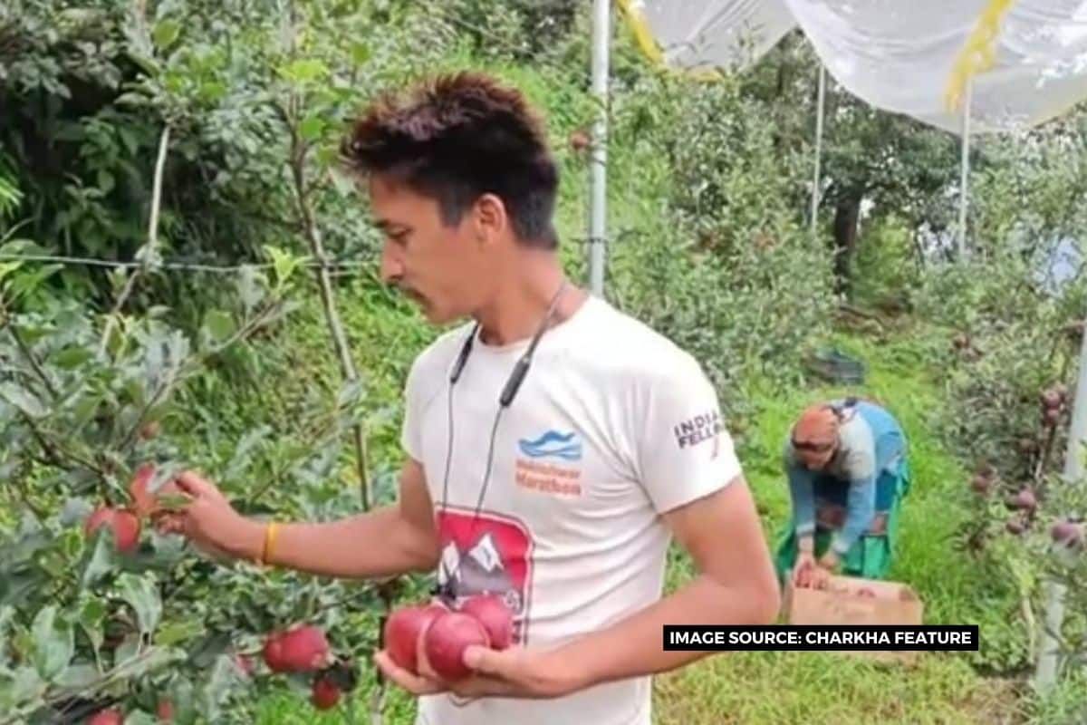 जलवायु परिवर्तन से कृषि प्रभावित हुई तो बागवानी बनी किसानों का सहारा