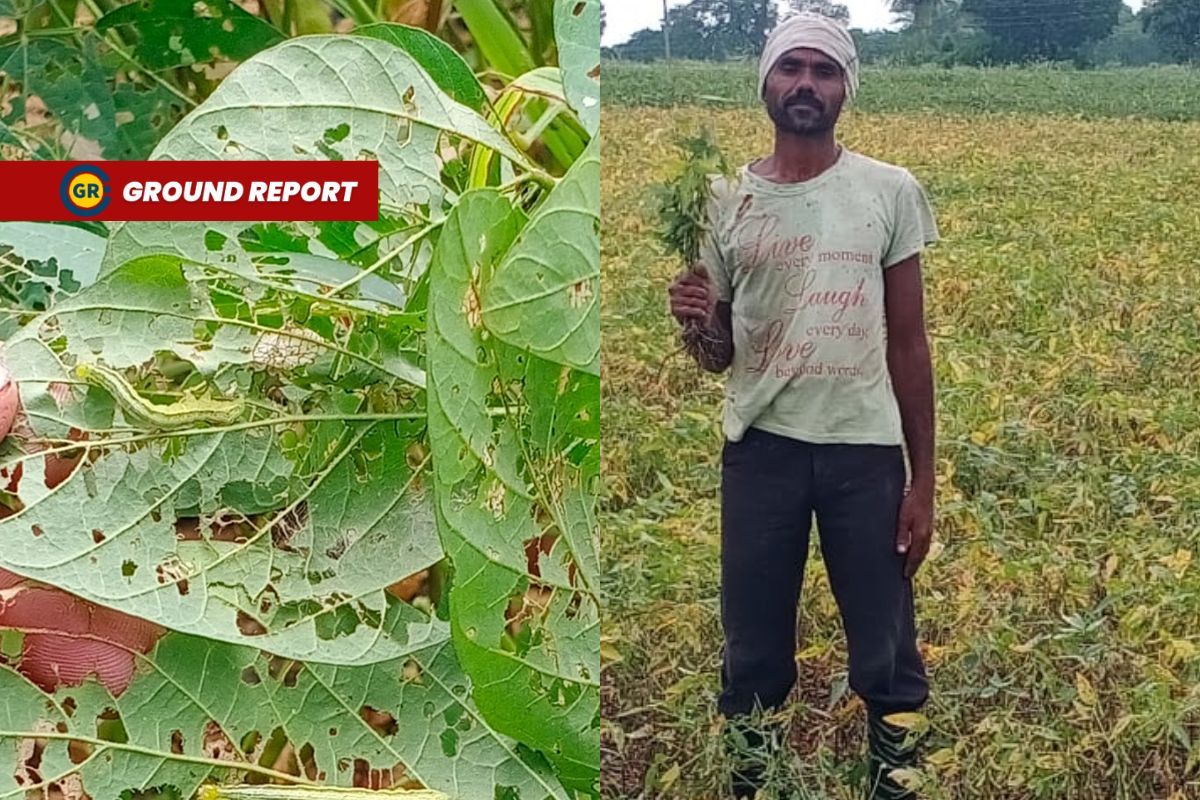Farmers facing drought in MP, improved irrigation system required