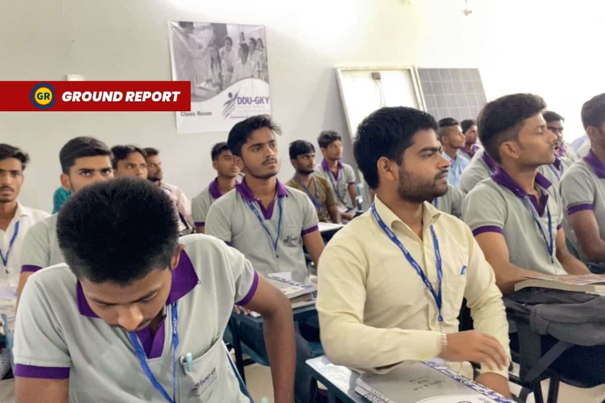Solar energy sector's jobs raises concerns about long-term stability