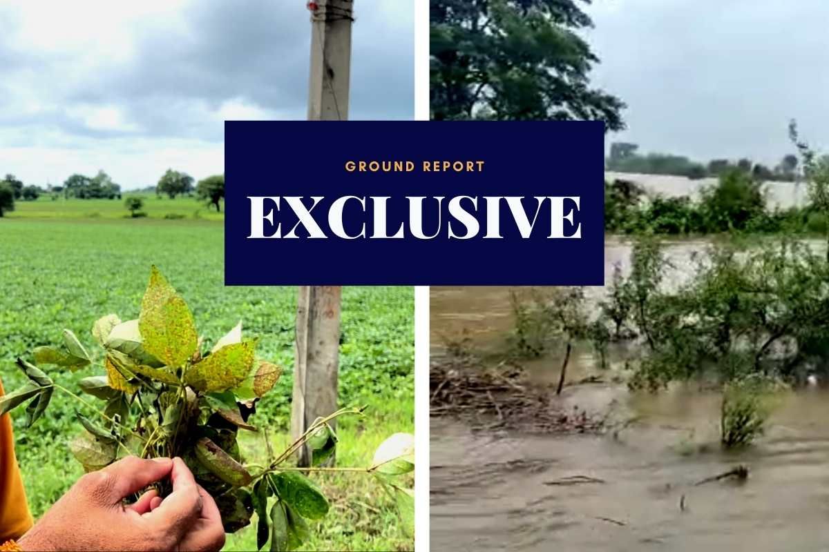 Farmers in MP face crop failure every year due to extreme weather