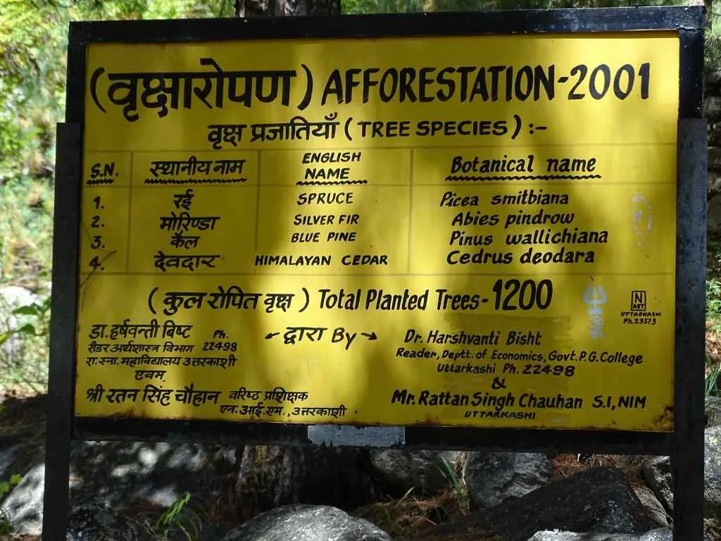 compensatory afforestation