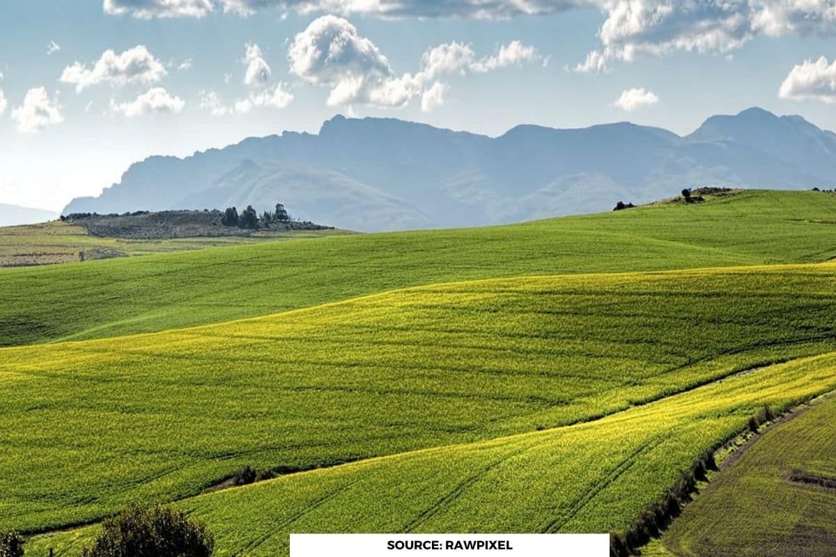 At least 100 million hectares of healthy land now lost each year