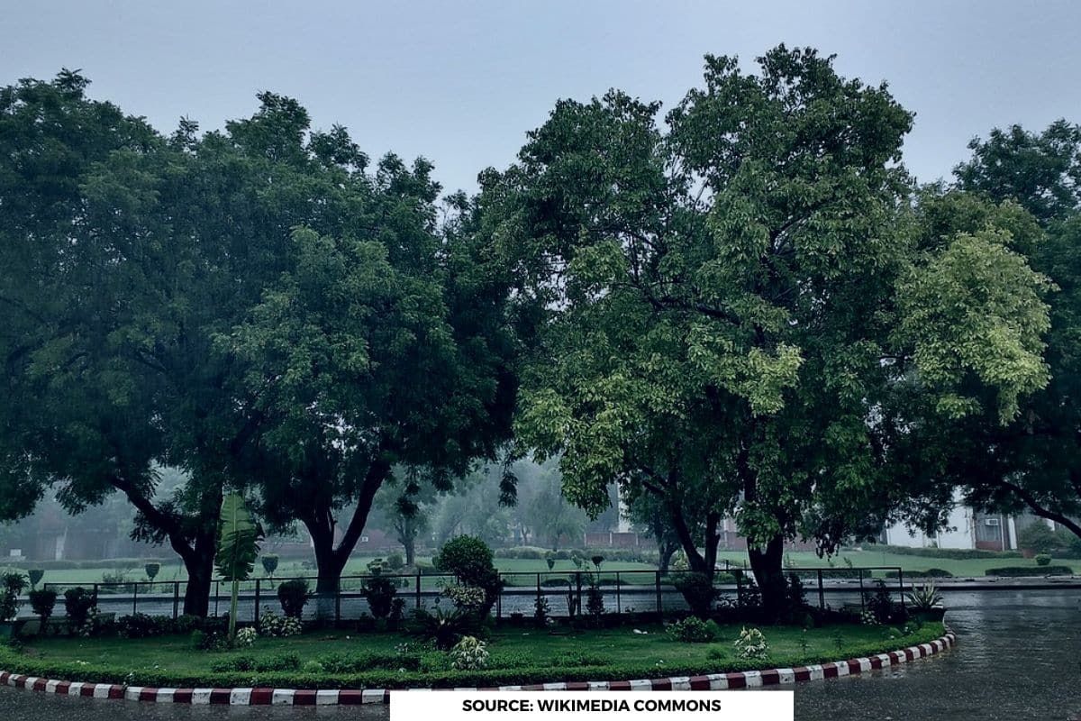 IMD predicts heavy rains & possible cyclone in WB and Odisha