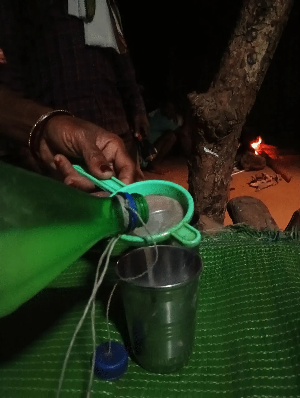 Fishtail palm wine called Selpi in Madia, is known to have antioxidant properties 