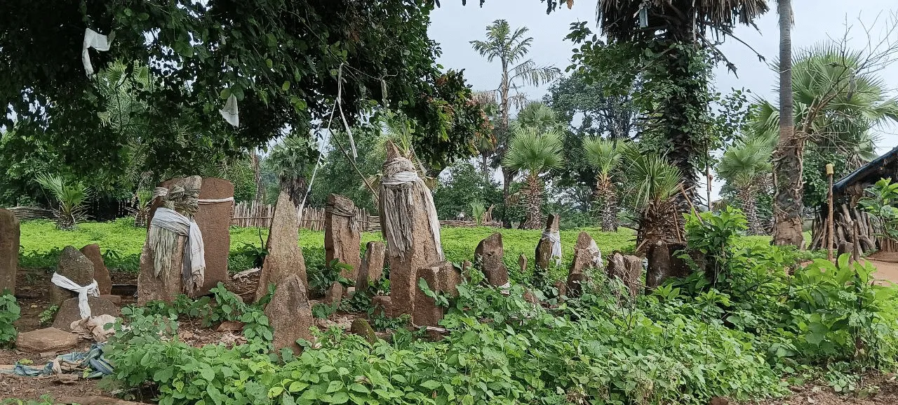 The Vijja Pandum (celebrating the advent of monsoon and sowing season) and Pindi Pandum (harvest festival) are two of the major festivals of the Madia Gonds. 