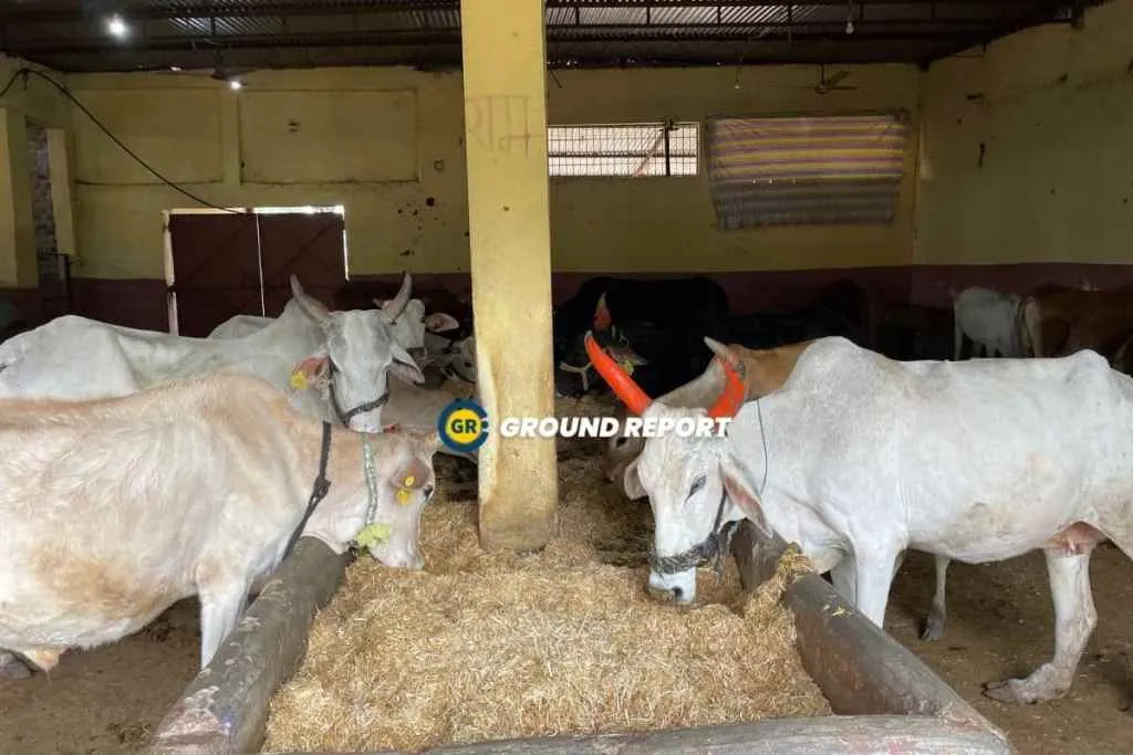 Shri ram gaushala sehore