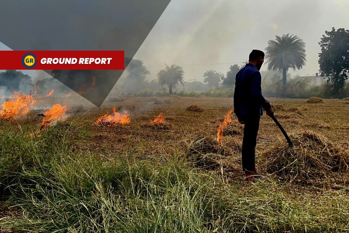 Stubble burning in Madhya Pradesh, despite severe environmental impact