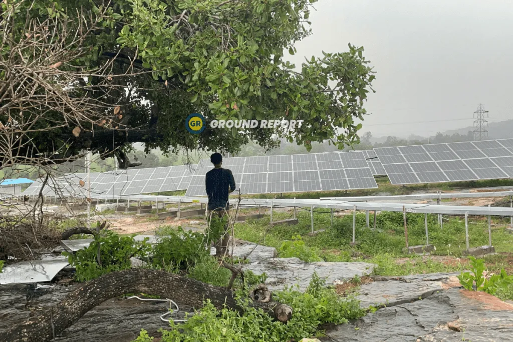 3 MW capacity solar plant in Nagauri near Sanchi, Madhya Pradesh. Another 5 MW capacity solar plant is underway.