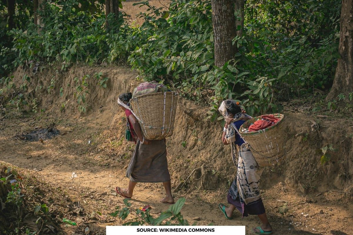 Indigenous peoples and nature must be at center of COP28