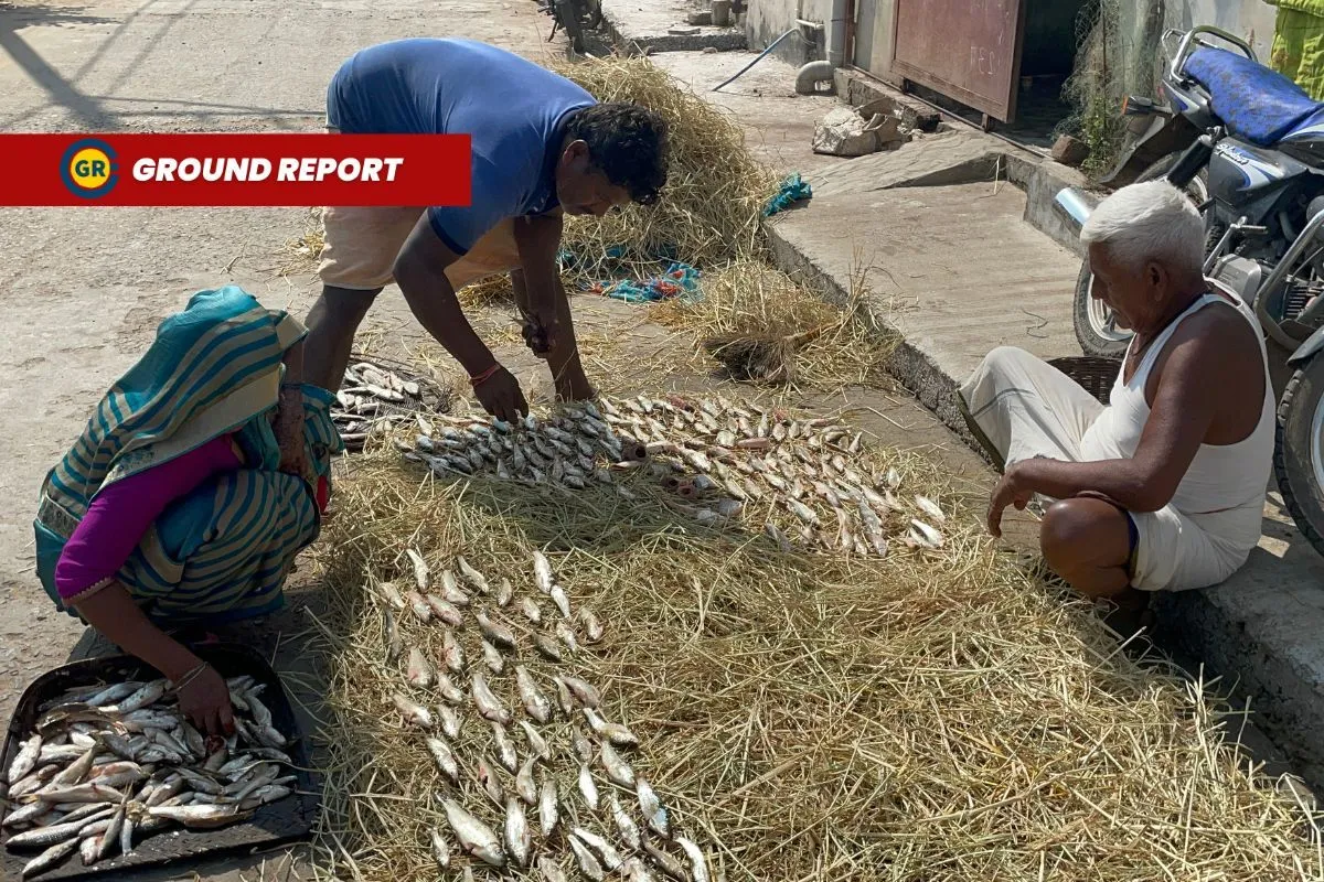 Impact of climate change on fishermen's livelihood in Budhni