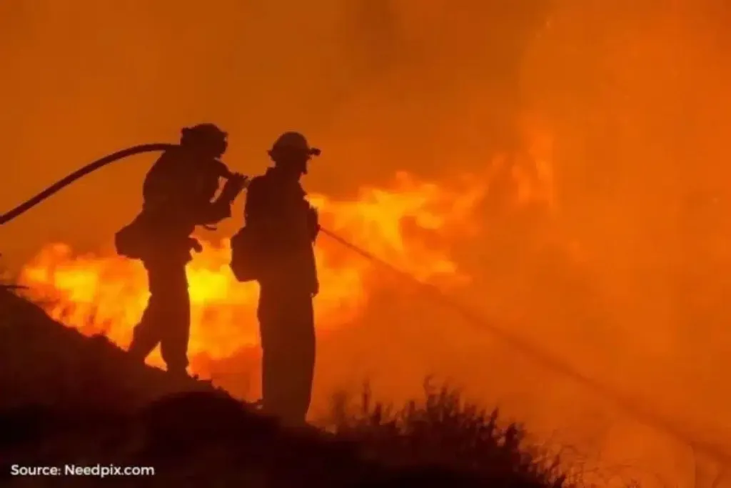 Record deaths due to forest fires: 2023 worst year of this century