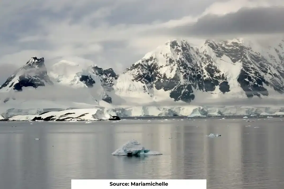 Antarctic coastal waters facing 100% increase in acidity: study