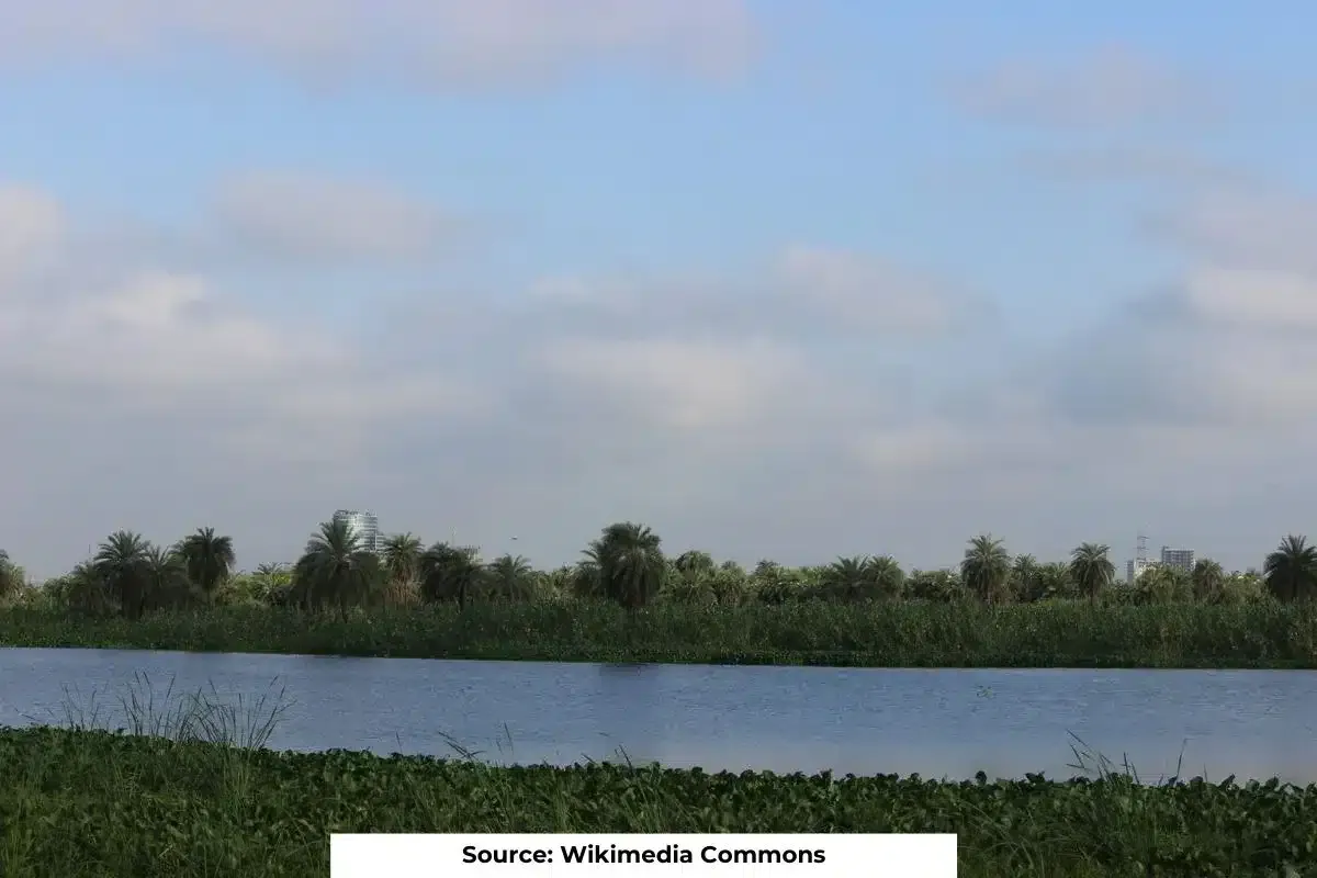 Unregulated waste discharge linked to tree decline in Surajpur wetland
