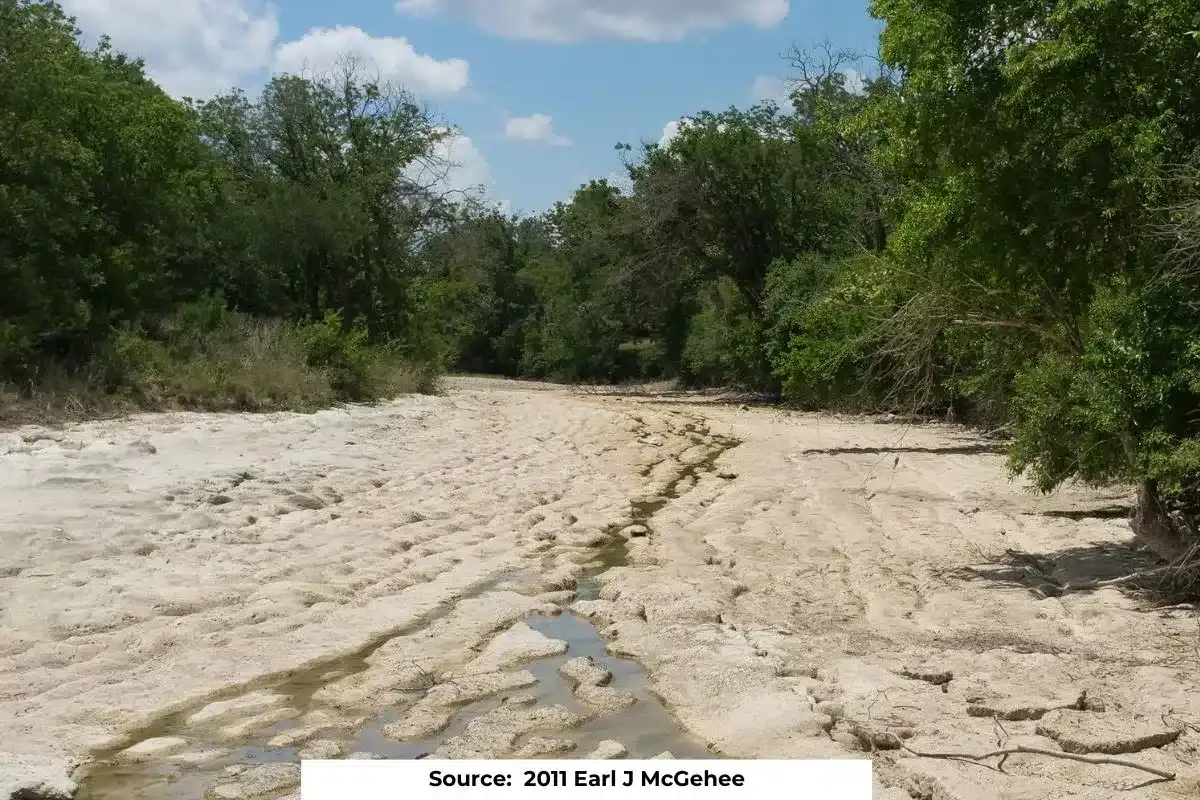 Amazon's 2023 drought linked to climate change, 30 million affected