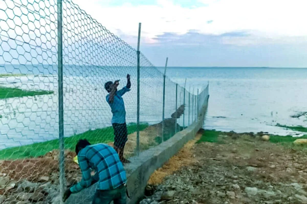 Gandhi sagar preparedness for translocation of cheetahs