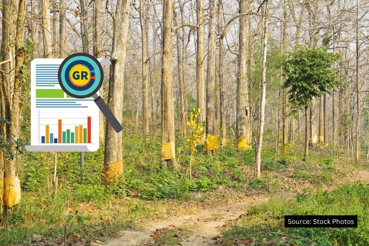 States where forest cover increased in last 4 years