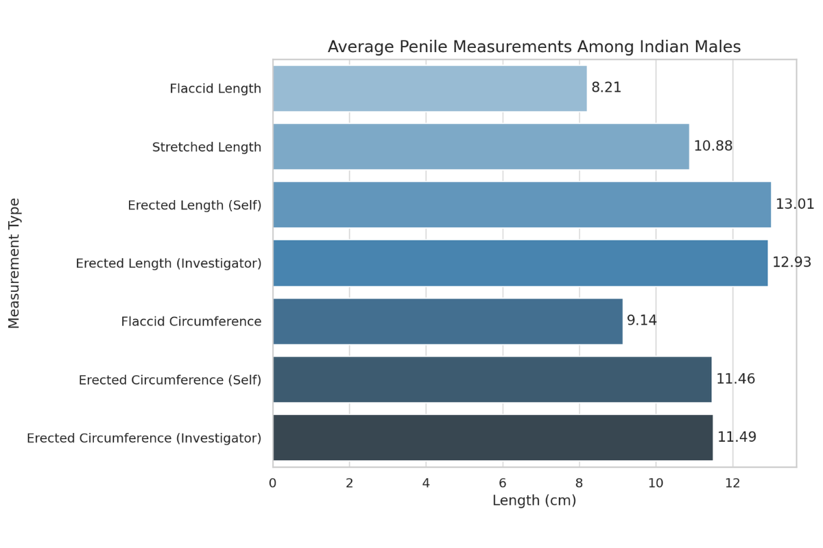 average penile measurements from the Indian